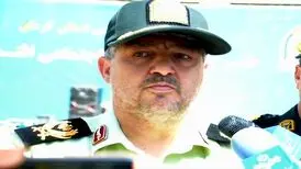 سارق سکه‌ها و نسخ تاریخی مقبره شاه نعمت الله ماهان دستگیر شد