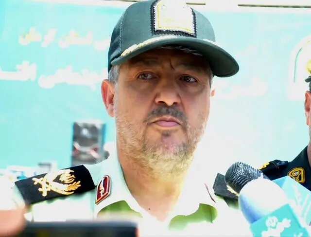 سارق سکه‌ها و نسخ تاریخی مقبره شاه نعمت الله ماهان دستگیر شد