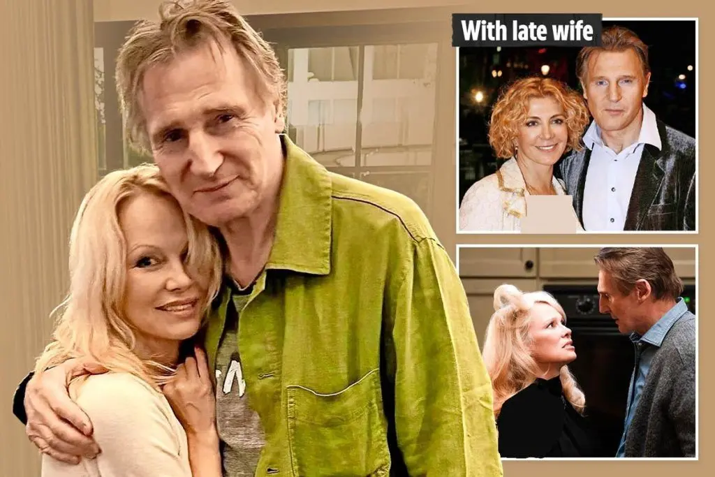 عشق پس از ۱۰ سال انتظار؟ شایعات درباره عشق پنهان لیام نیسون و پاملا اندرسون