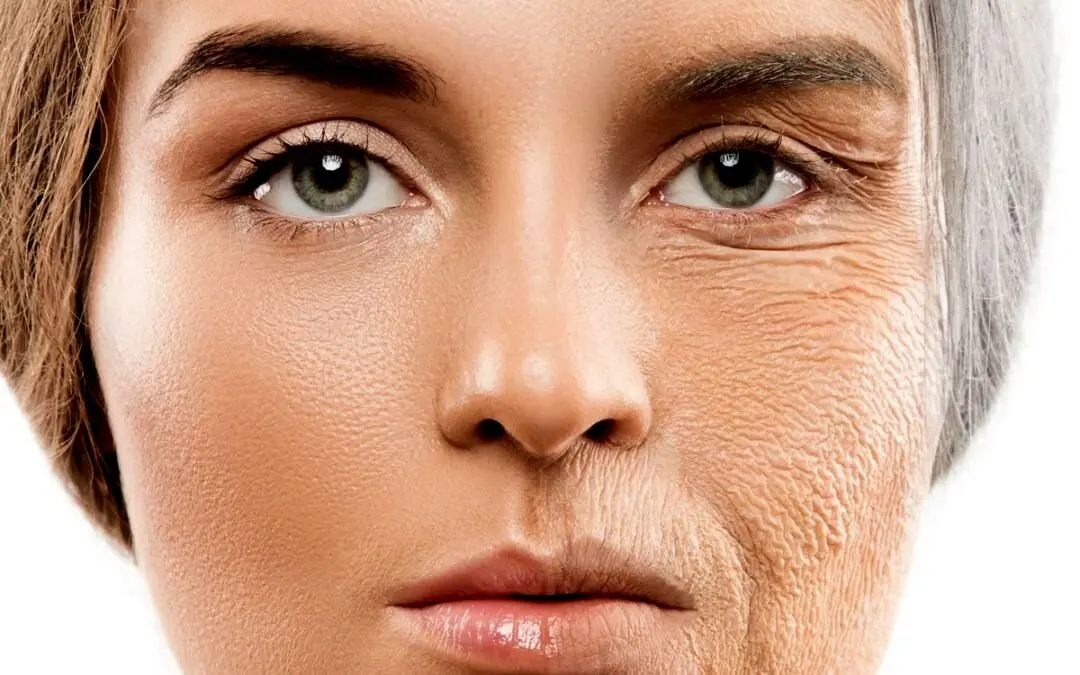 5 محصول ضروری برای جلوگیری از پیری زودرس