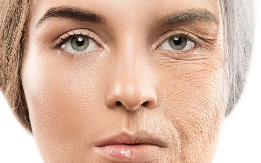 5 محصول ضروری برای جلوگیری از پیری زودرس