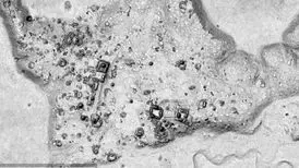 شهر گمشده مایاها در اعماق جنگل‌های مکزیک کشف شد
