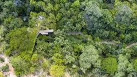 جنگلی‌ترین خانۀ دنیا؛ راهرو‌هایی که از بین درختان می‌گذرند/ عکس
