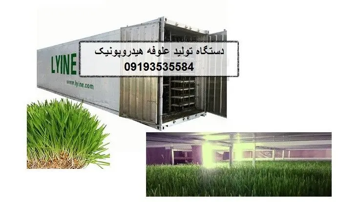 قیمت سینی کشت علوفه هیدروپونیک برای کشت