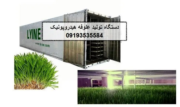 قیمت سینی کشت علوفه هیدروپونیک برای کشت