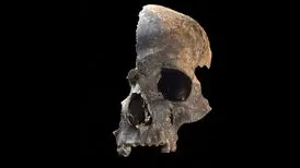 باستان‌شناسان در گودالی مرموز شواهدی از آدم‌خواری را در عصر برنز کشف کردند
