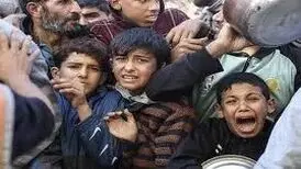 می‌نویسند گرسنه می‌مانند می‌میرند