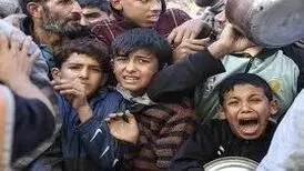 می‌نویسند گرسنه می‌مانند می‌میرند