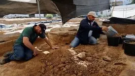 کشف بیش از ۱۰۰ گور تاریخی در فلسطین
