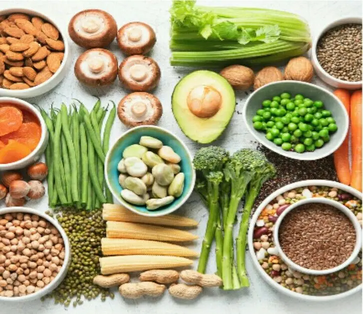 معرفی بزرگترین فروشگاه اینترنتی گیاهخواران وگان