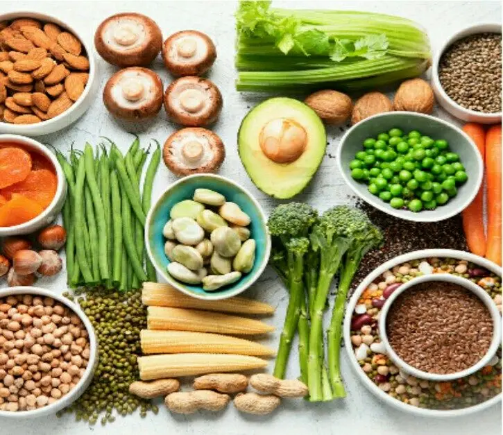 معرفی بزرگترین فروشگاه اینترنتی گیاهخواران وگان