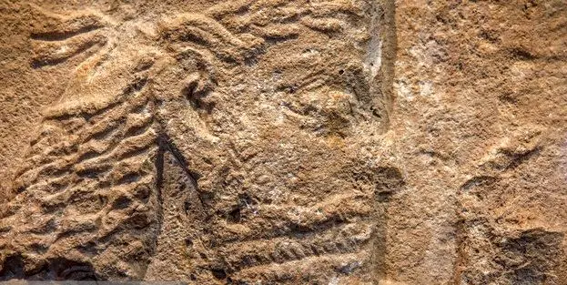 ملاقات با نجیب‌زاده ساسانی در تهران