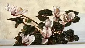 این گل‌ها از آنچه فکر می کنید گران‌تر هستند