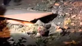 واکنش برخی هنرمندان به حمله تجاوزکارانه اسرائیل