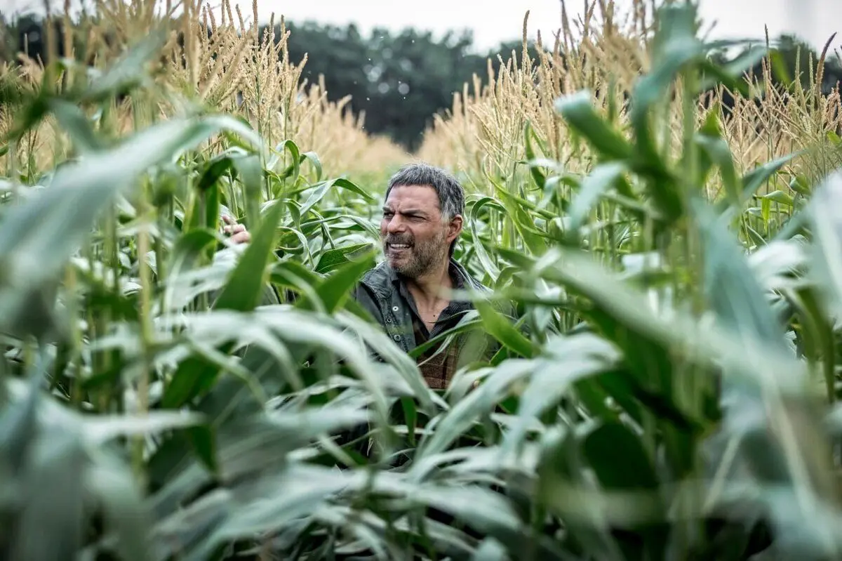 اکران بی‌سروصدا با حضور پیمان معادی
