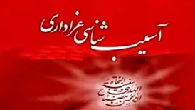  برخی مداحان به اسم نوآوری اگزوزی‌خوان شدند/ مداح های هنجارشکن بیشتر به چشم می آیند