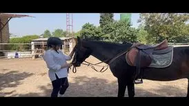 تصویری از ندا قاسم خانی در حال سوارکاری