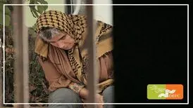 راهیابی «خونه مامان شکوه» به بخش مسابقه جشنواره مسکو

