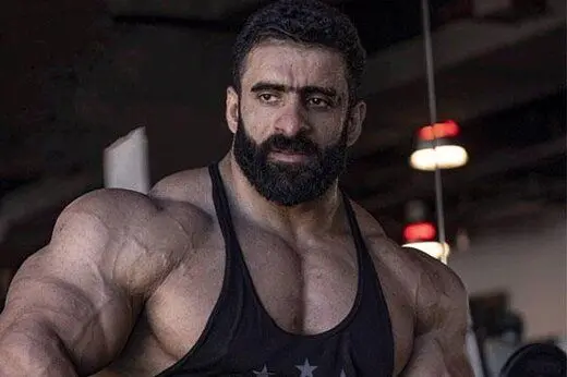 عکس | چهره جدید و عجیب گرگ ایرانی همه را غافلگیر کرد
