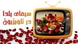 صادق بوقی نقل برنامه شب یلدا صداوسیما/ مهمانان و مجری برنامه هم‌صدا می‌گویند او او او/ ویدئو
