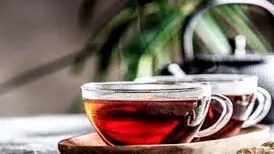 شاره به چای دبش در صداوسیما ممنوع شد؟ / مجری صداوسیما زمان اشاره به «دبش»، حرف خود را خورد/ ویدئو
