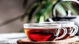 شاره به چای دبش در صداوسیما ممنوع شد؟ / مجری صداوسیما زمان اشاره به «دبش»، حرف خود را خورد/ ویدئو
