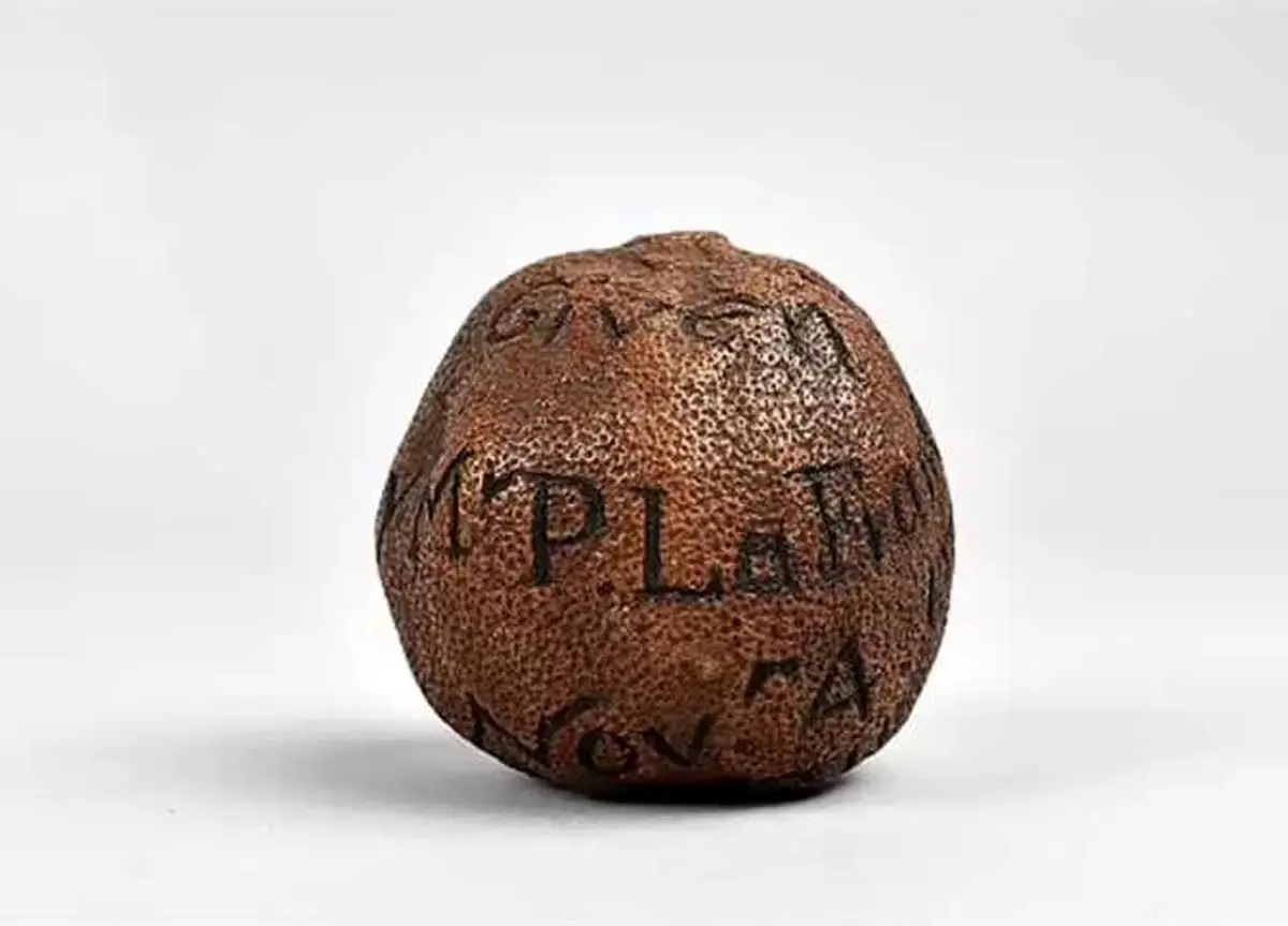 لیمویی که ۱۴۰۰ پوند در حراجی به فروش رسید
