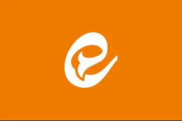 توجیه باورنکردنی پیام رسان داخلی برای اختلال جدیدش
