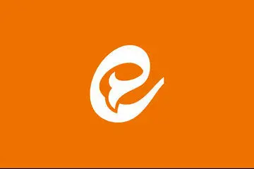 توجیه باورنکردنی پیام رسان داخلی برای اختلال جدیدش
