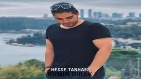 آهنگ حس تنهایی از رامین بی باک/بگو بدون من تو هم نمی تونی