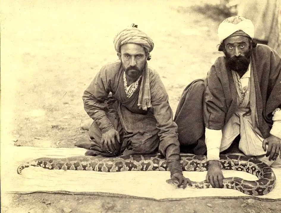 سفر به عصر قاجار؛ مارگیرها، کشتی‌گیرها و قاطرهای دو کابین
