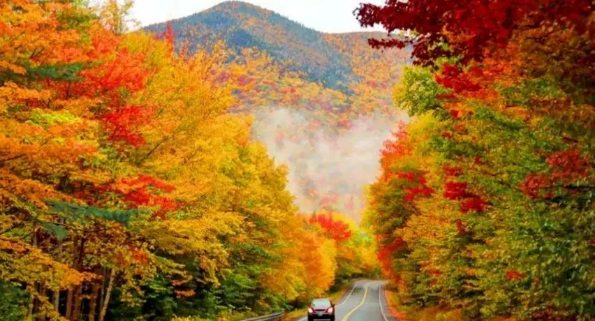 معرفی زیباترین و منحصر به فردترین جاده های ایران
