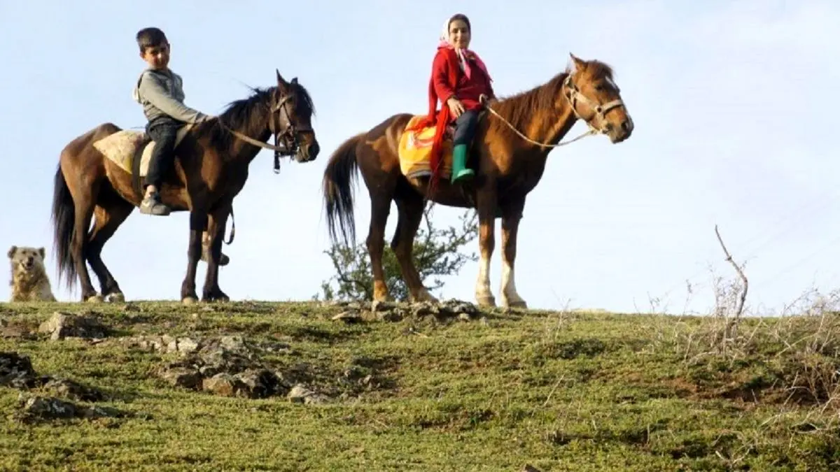 کسب جایزه «چوپان‌های عاشق» در جشنواره تلویزیونی مستند
