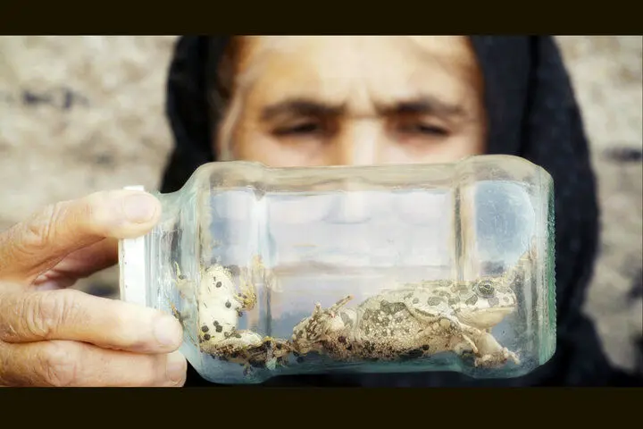 مستندی از همزیستی ۴ ساله با لک‌لک‌ها