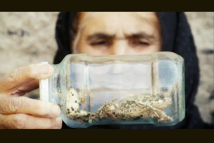 مستندی از همزیستی ۴ ساله با لک‌لک‌ها