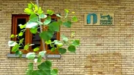 سیزدهمین کرسی مدیرعاملی خانه سینما به چه کسی می‌رسد؟