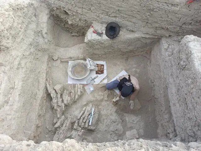 یک کشف تازه در تپه سیلک کاشان
