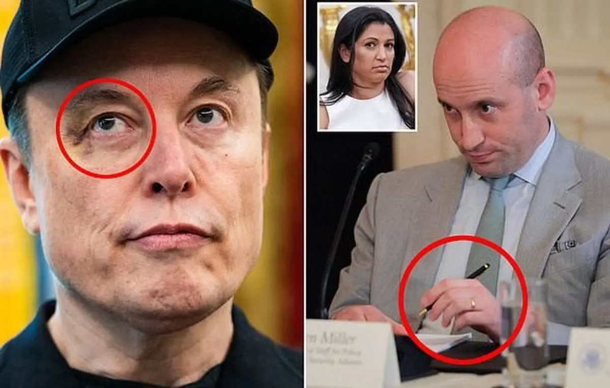 استخدام پرستو برای ایلان ماسک!/ راز کبودی زیر چشم ایلان ماسک چیست؟