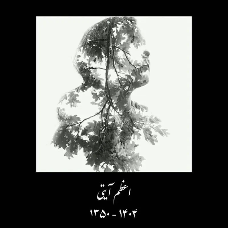 اعظم آیتی درگذشت
