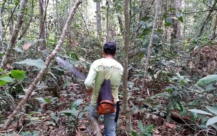 گنجینه ۵ هزارساله‌ای که از مدفوع ساخته شده
