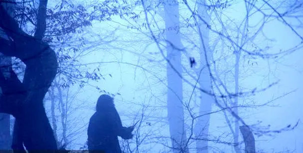 «جانور» در ۲ جشنواره خارجی/«چپ دست» بهترین فیلم جشنواره یونانی شد
