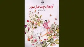 شهر، عشق و زنان محور رمان «آوازهای چند فیل‌سوار»
