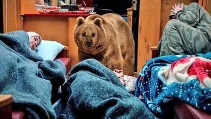 اما و اگرهای استفاده از حیوانات در سریال‌ها/ «پایتخت ۷» حیوان‌آزاری کرد؟