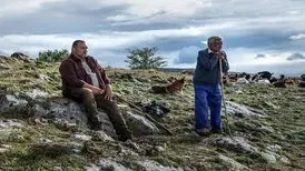 «جانوران» جوایز گویا ۲۰۲۳ را درو کرد/ معرفی برندگان اسکار اسپانیا
