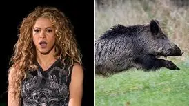 حمله حرفه‌ای گرازهای بارسلون به شکیرا