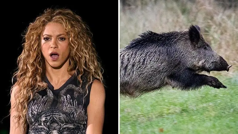 حمله حرفه‌ای گرازهای بارسلون به شکیرا