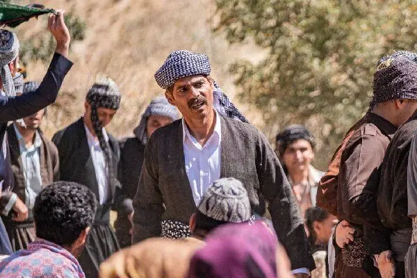 «درخت گردو» به صورت رایگان تماشایی می‌شود