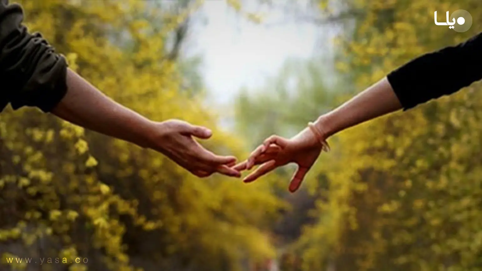 حکم شرعی و قانونی ازدواج سفید که صیغه در آن خوانده نشده است
