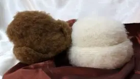 «کلاه پشمی» در خطر فراموشی
