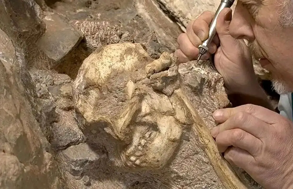 خویشاوند ۳ میلیون سالۀ انسان از دل سنگ بیرون آمد